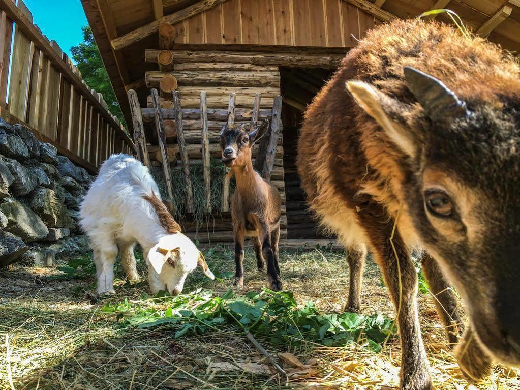 Hotel Gasthof Hinteregger Bad Kleinkirchheim Dış mekan fotoğraf